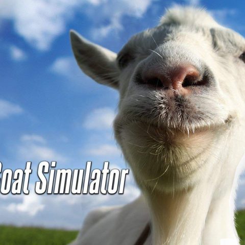 goat_800