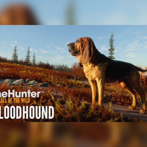 _hunterblood8