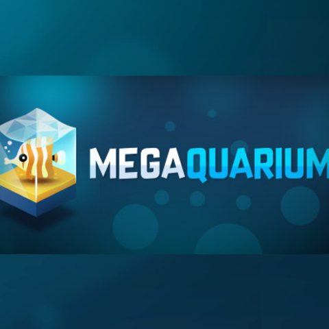 mega8_1_2
